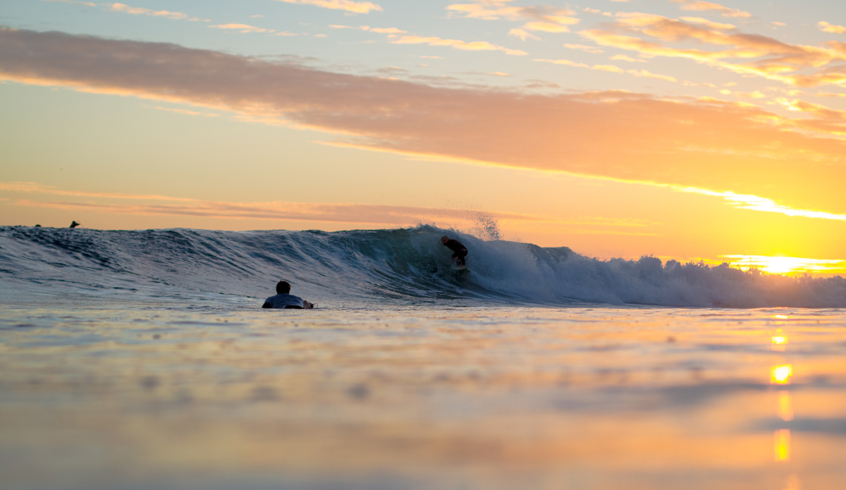 Photo: <a href=\"https://www.timmendez.com/\">Tim Mendez</a>