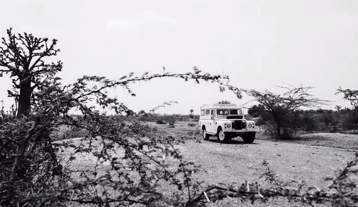 Photo: Jeffrey Thayer | <a href=\"https://www.roarkrevival.com/\">Roark Revival</a>