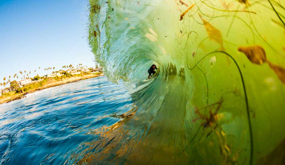 Kelp dodging in San Diego. Photo: <a href=\"http://anthonyghigliaprints.com/\" target=_blank>Anthony Ghiglia</a>