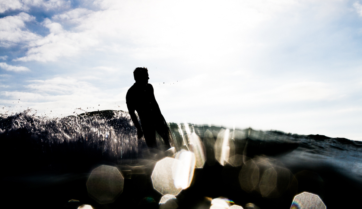Trimming. Photo: <a href=\"https://www.robbiedark.com\">Robbie Dark</a>