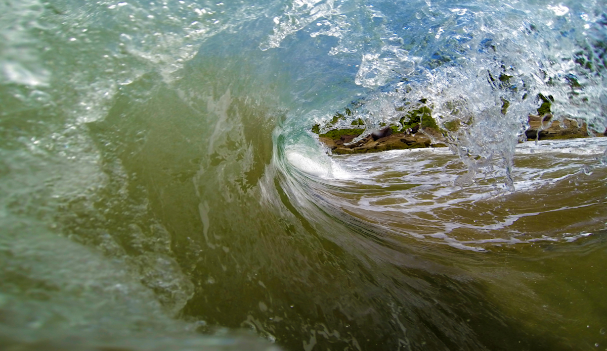 Photo: <a href=\"https://www.rbaskerville.com/\">RBaskerville</a>