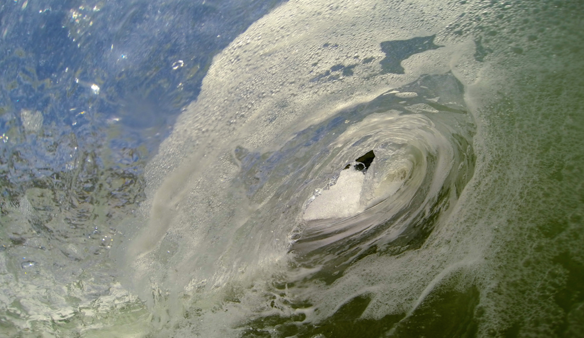 Photo: <a href=\"https://www.rbaskerville.com/\">RBaskerville</a>