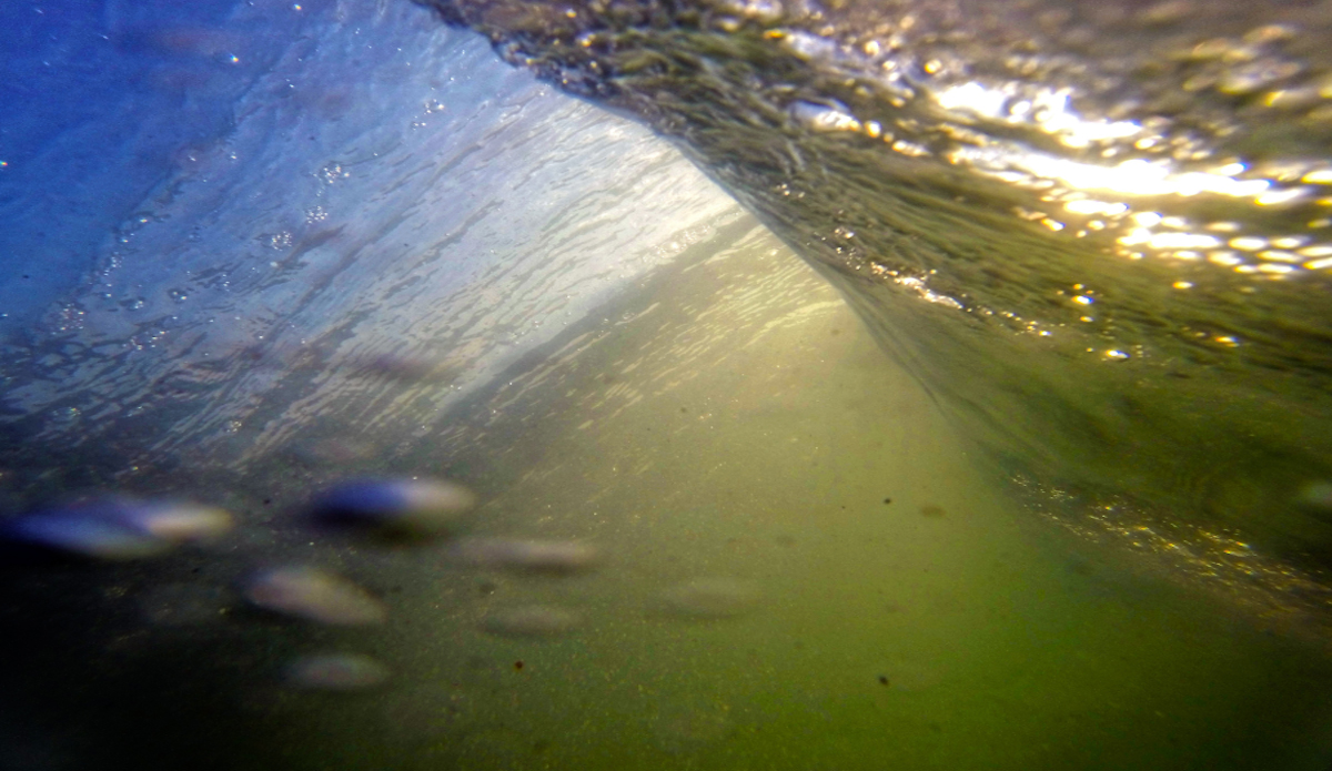 Photo: <a href=\"https://www.rbaskerville.com/\">RBaskerville</a>