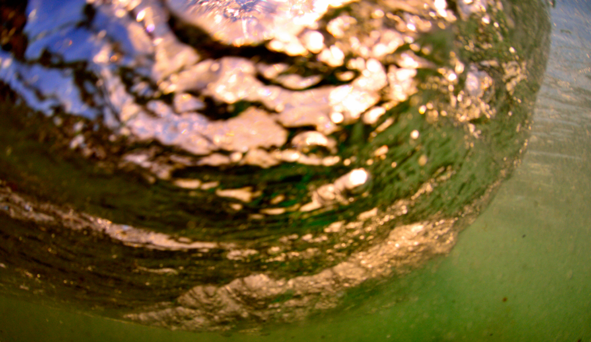 Photo: <a href=\"https://www.rbaskerville.com/\">RBaskerville</a>