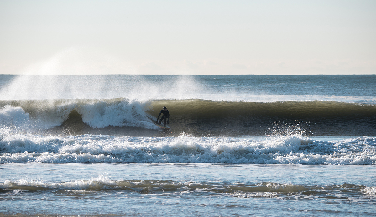 Photo: Andreea Waters