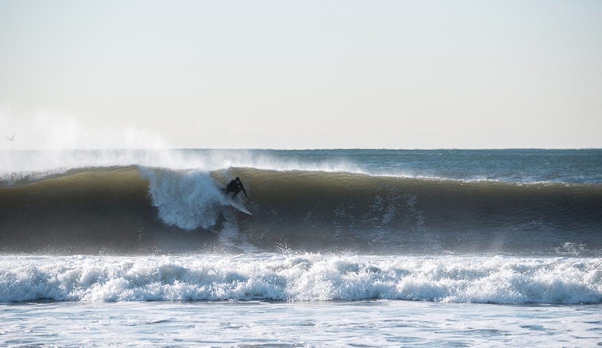 Photo: Andreea Waters