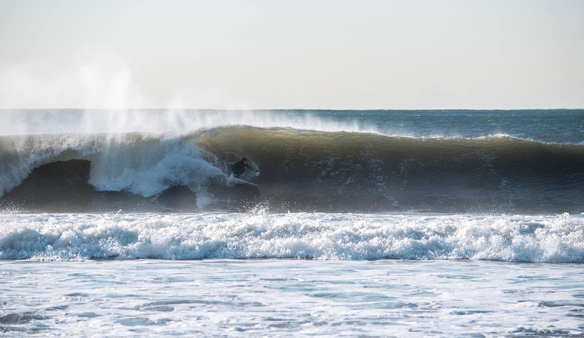 Photo: Andreea Waters