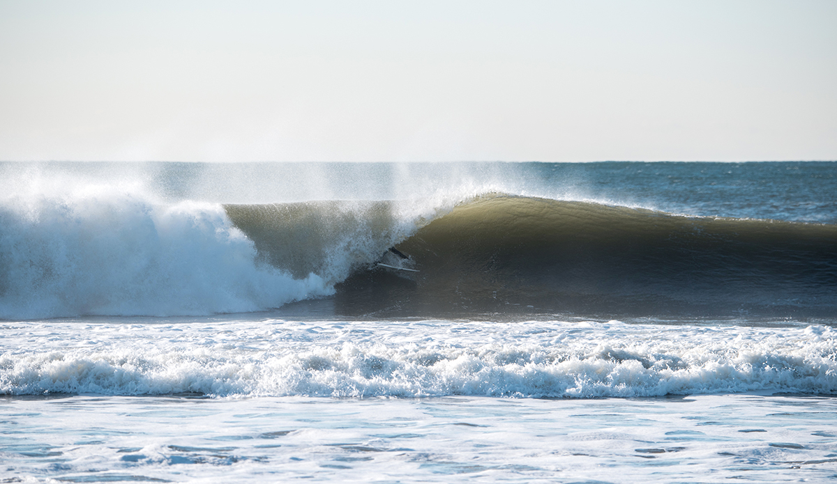 Photo: Andreea Waters