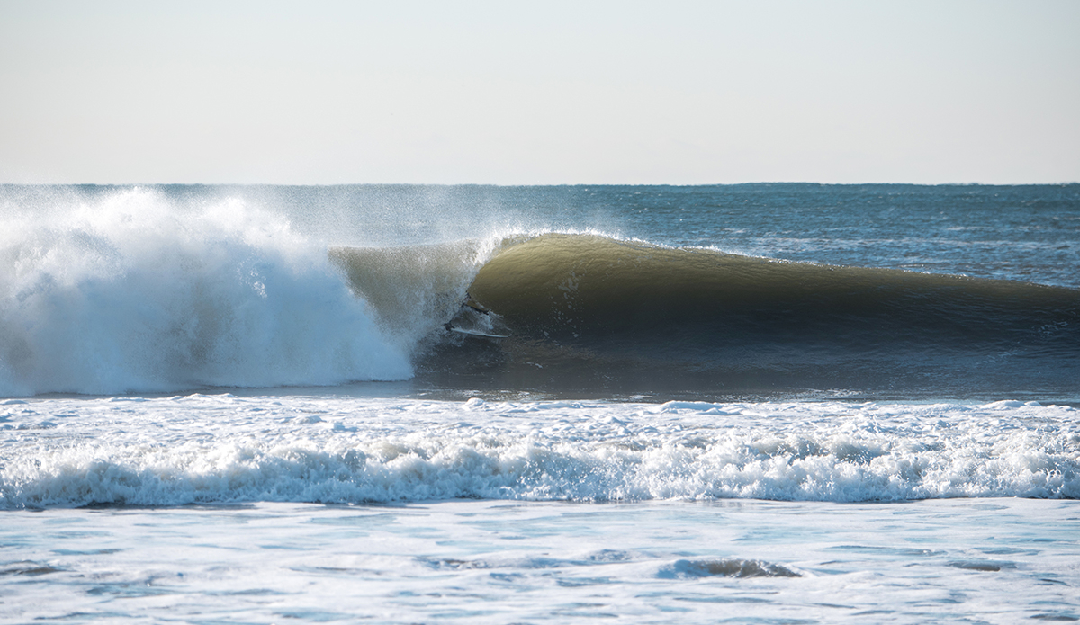 Photo: Andreea Waters