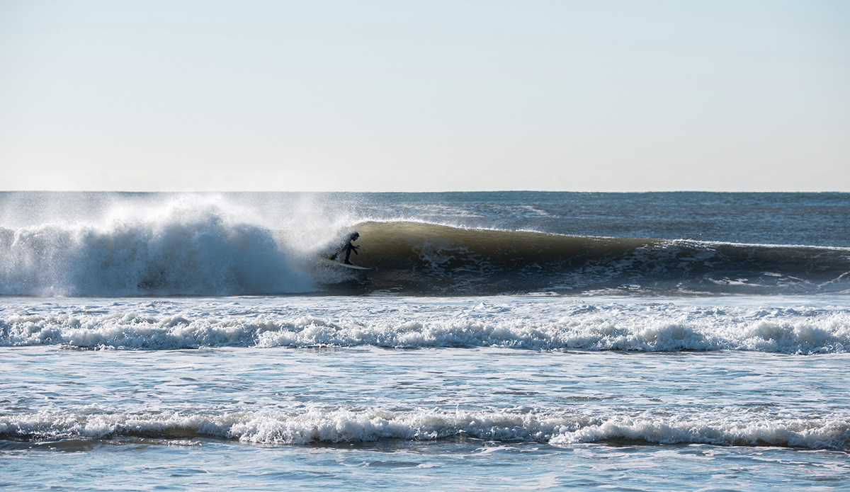 Photo: Andreea Waters