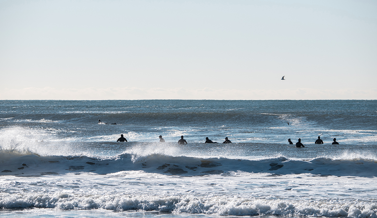 Photo: Andreea Waters