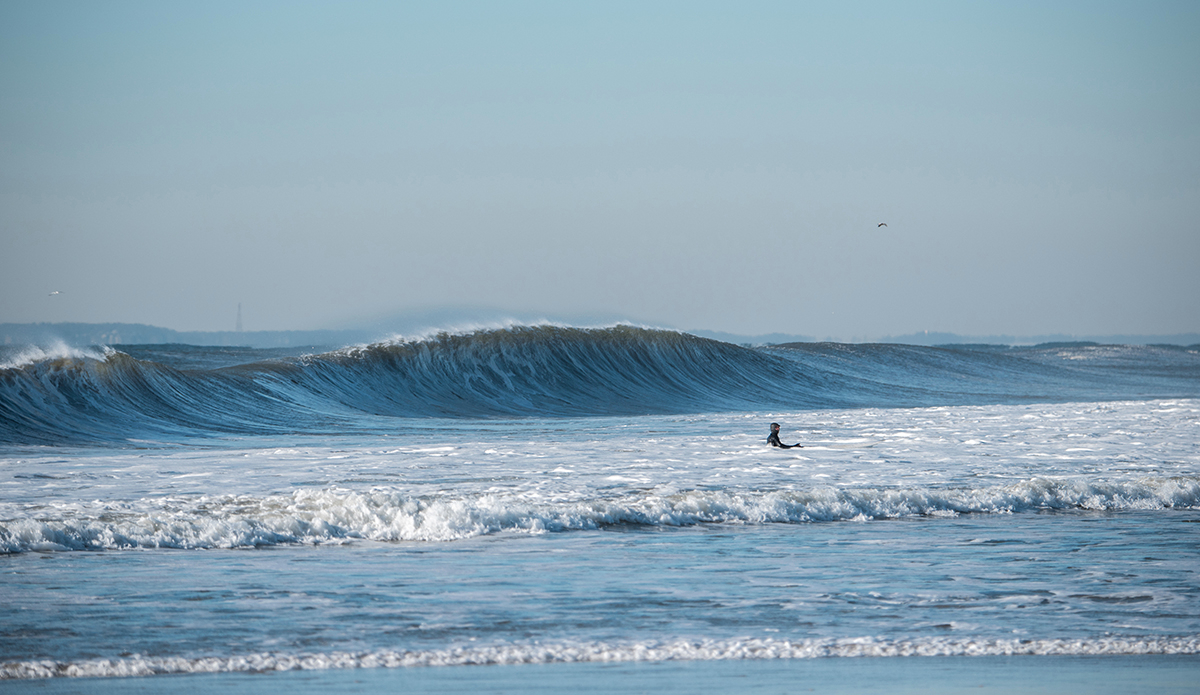 Photo: Andreea Waters