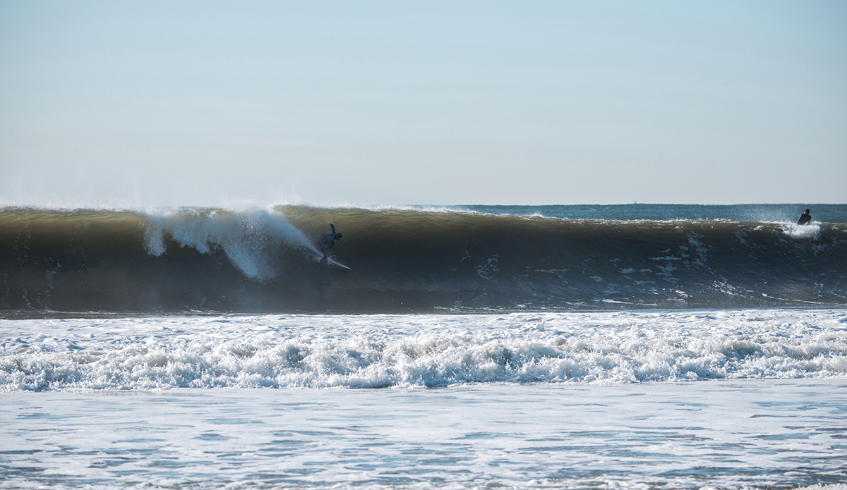 Photo: Andreea Waters