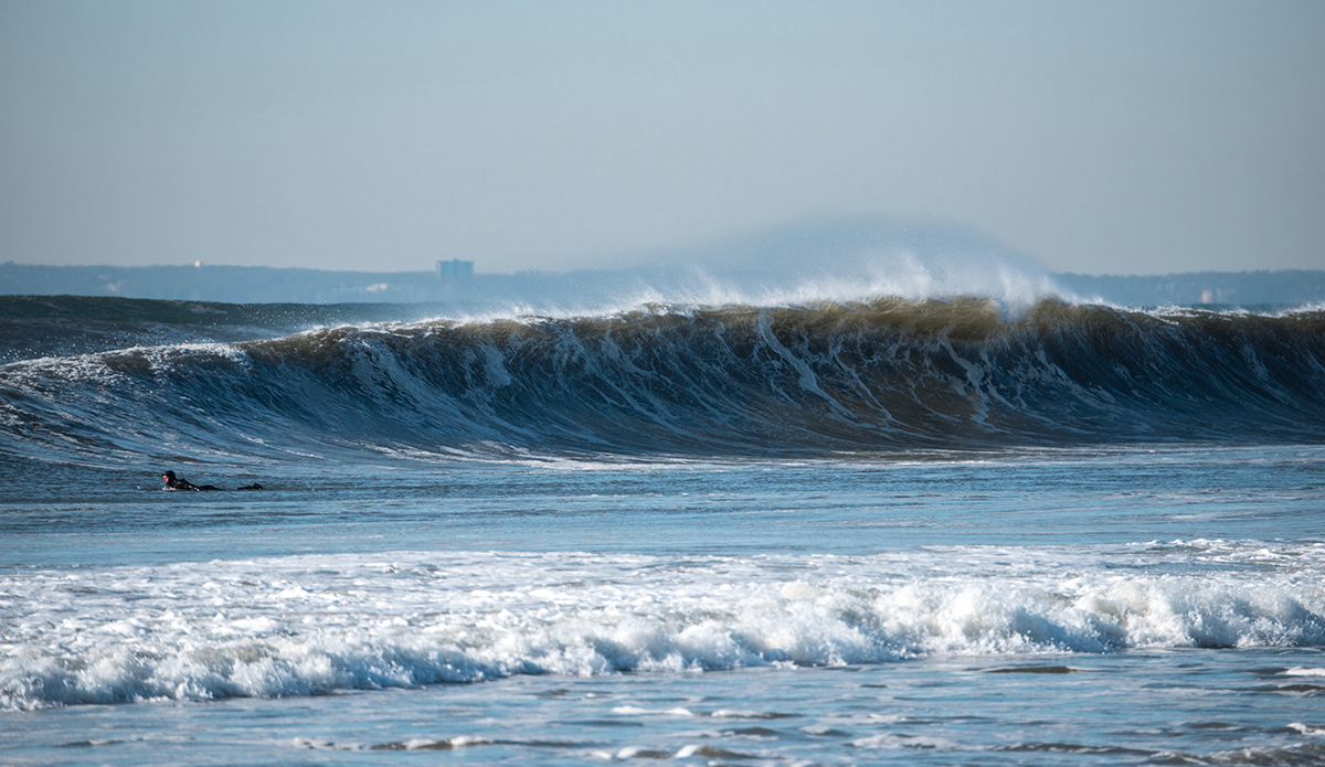 Photo: Andreea Waters