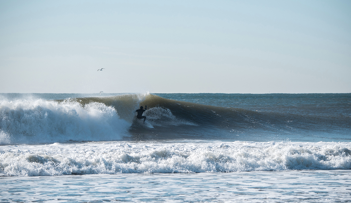 Photo: Andreea Waters