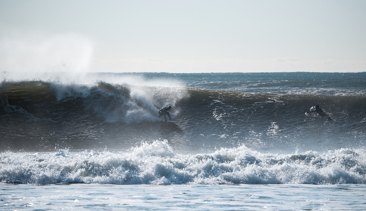 Photo: Andreea Waters