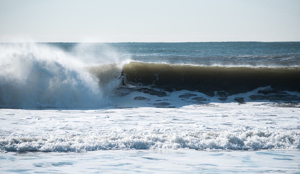 Photo: Andreea Waters