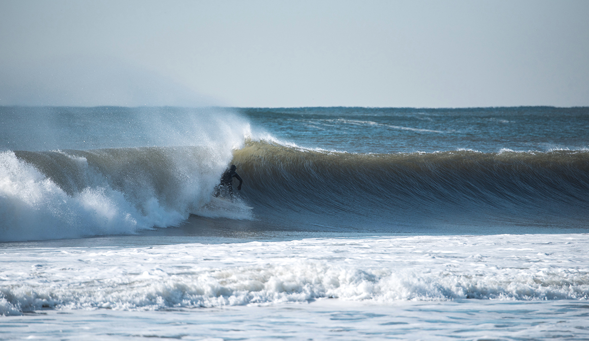 Photo: Andreea Waters