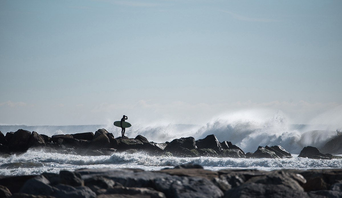 Photo: Andreea Waters