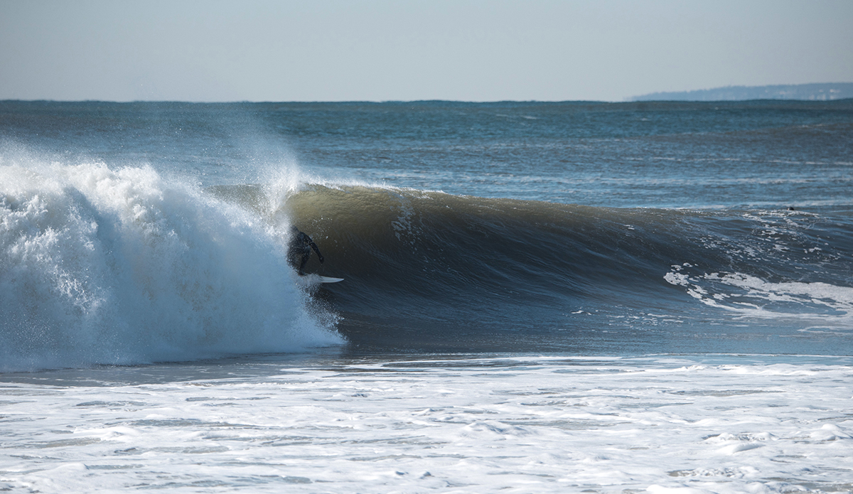 Photo: Andreea Waters