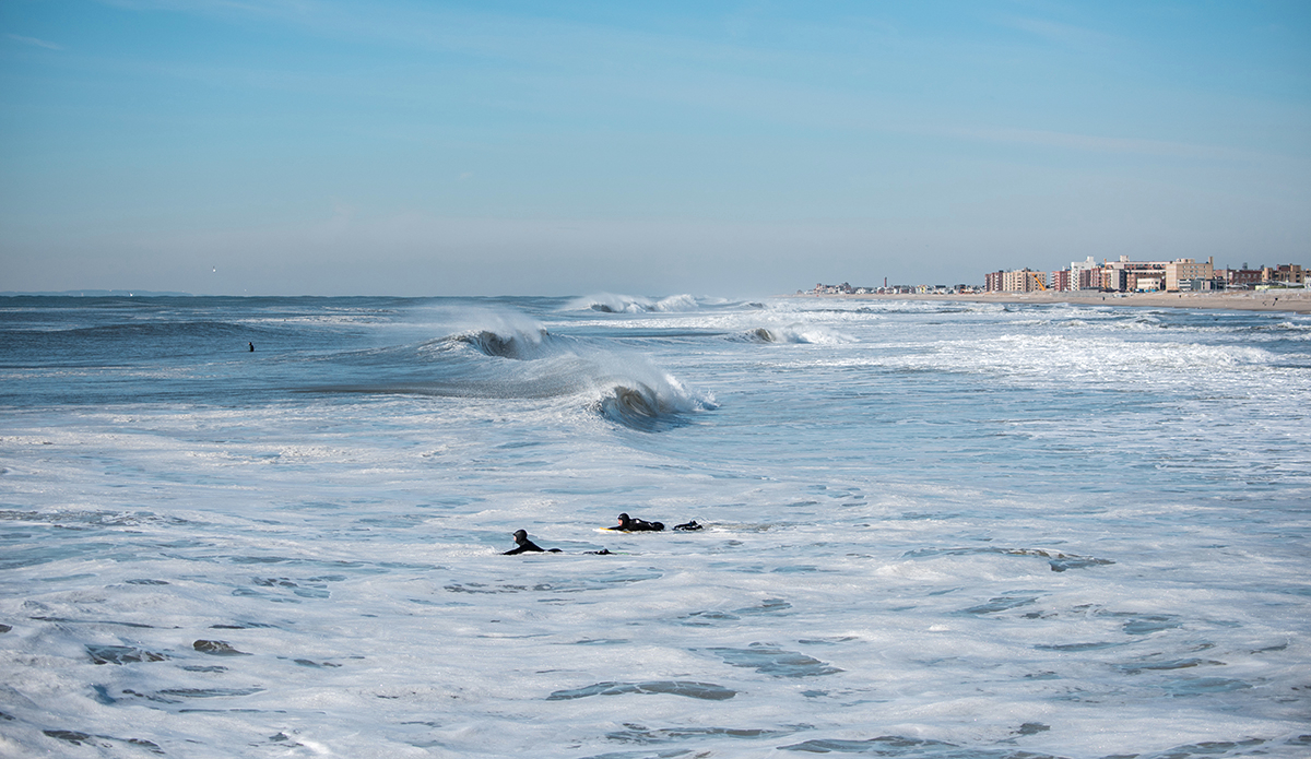 Photo: Andreea Waters