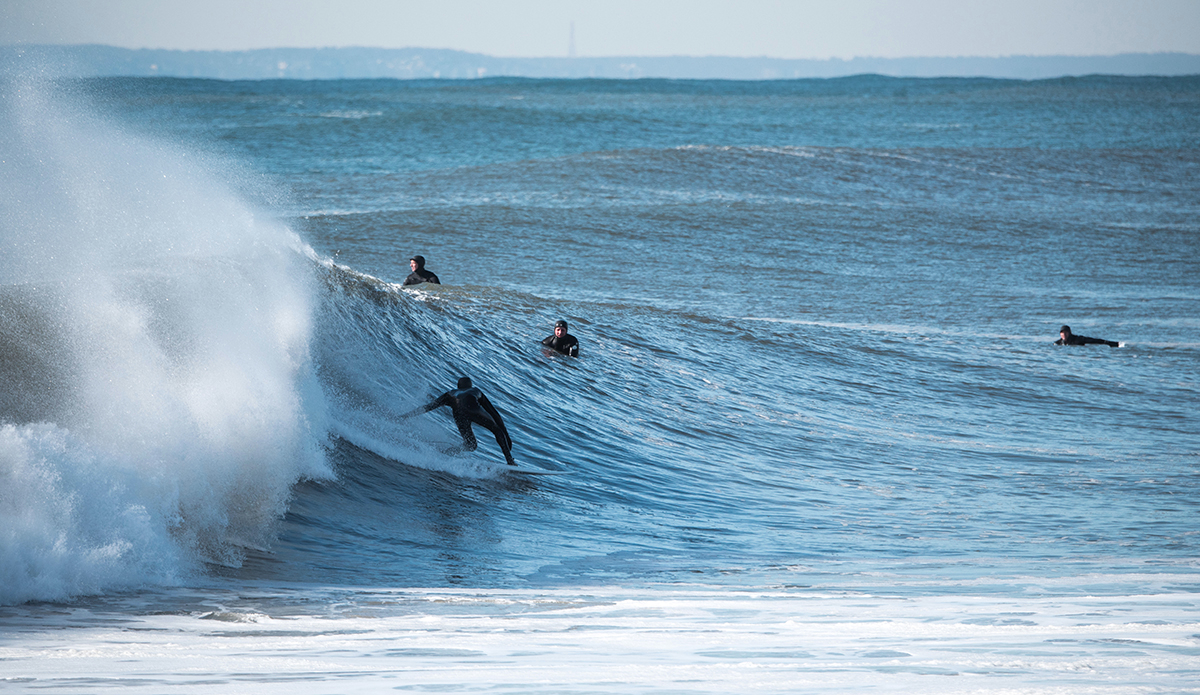 Photo: Andreea Waters