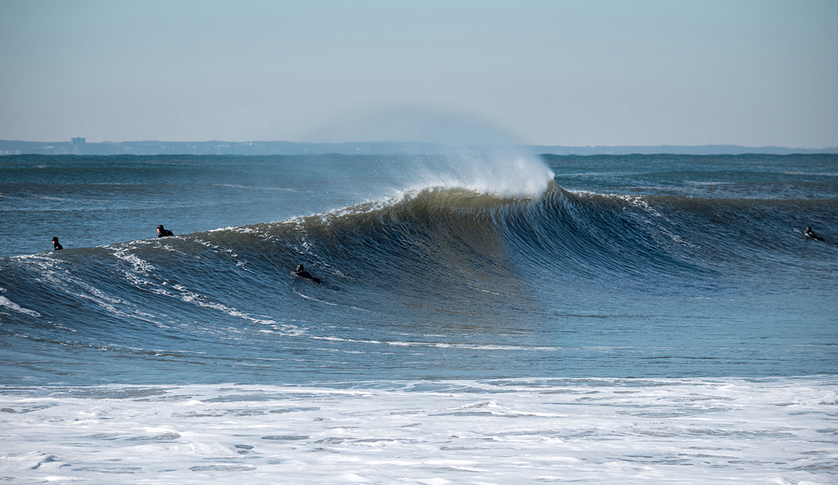 Photo: Andreea Waters