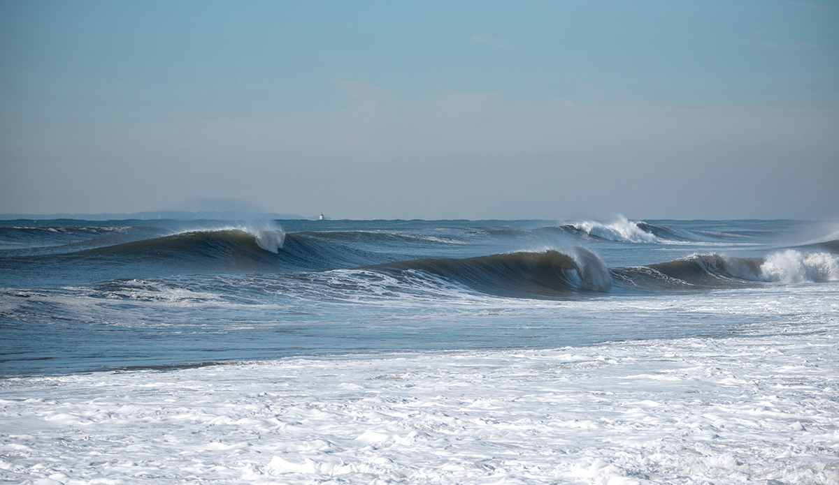 Photo: Andreea Waters