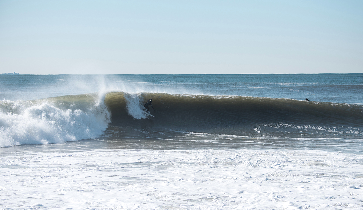 Photo: Andreea Waters