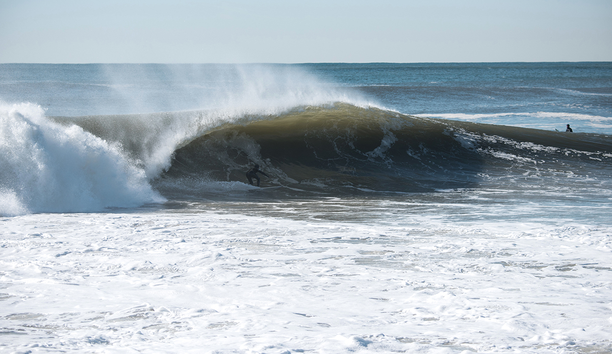 Photo: Andreea Waters