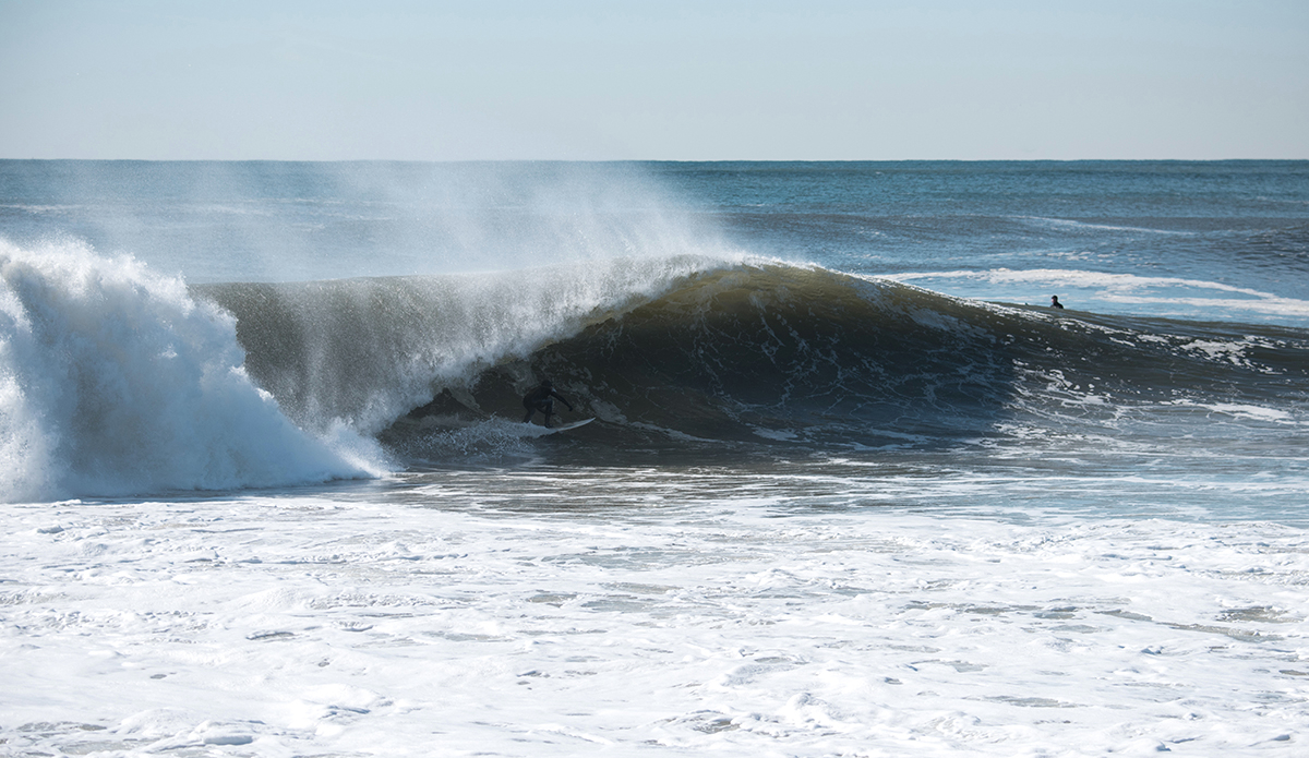 Photo: Andreea Waters