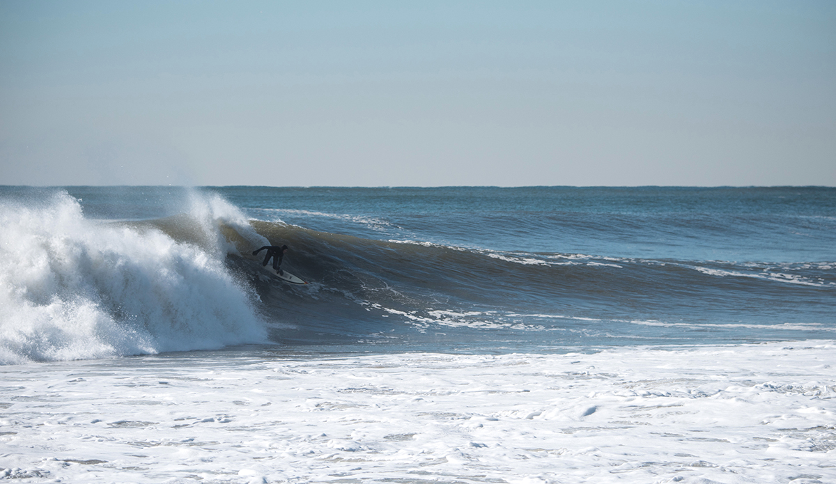 Photo: Andreea Waters