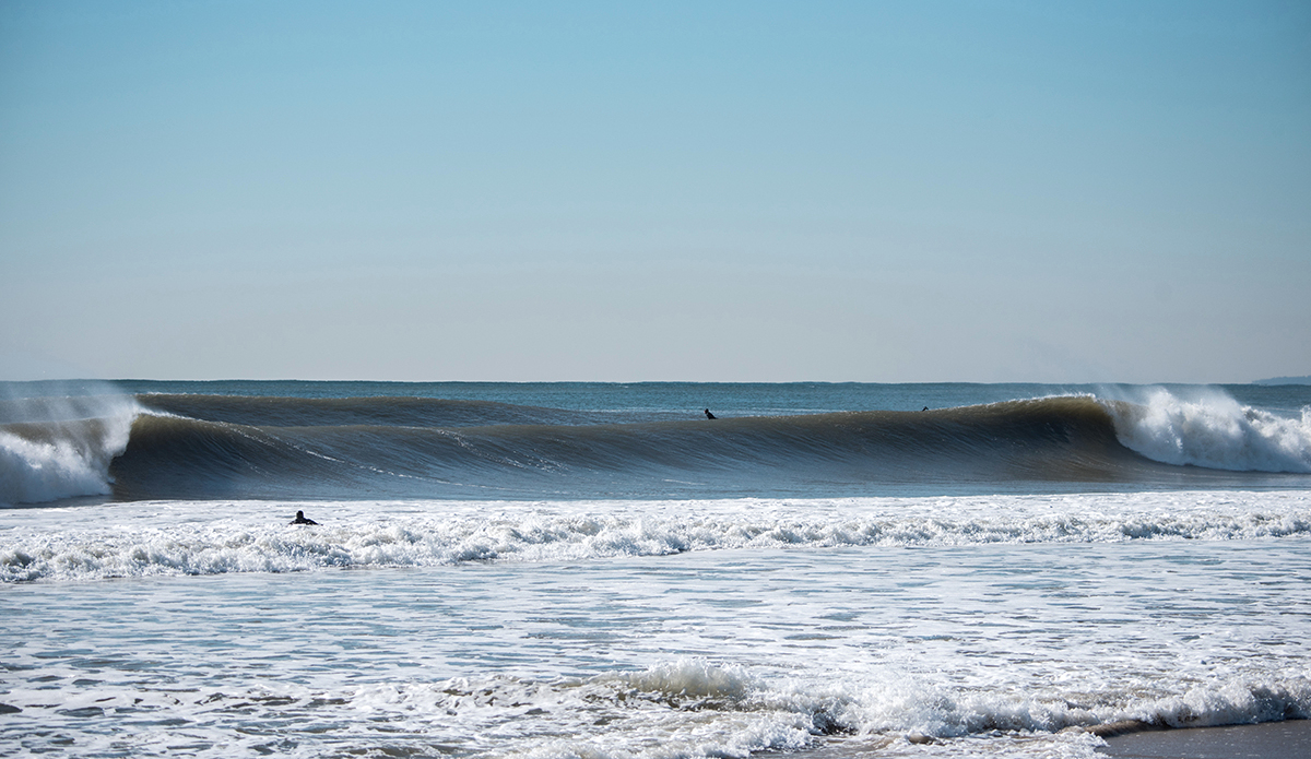 Photo: Andreea Waters