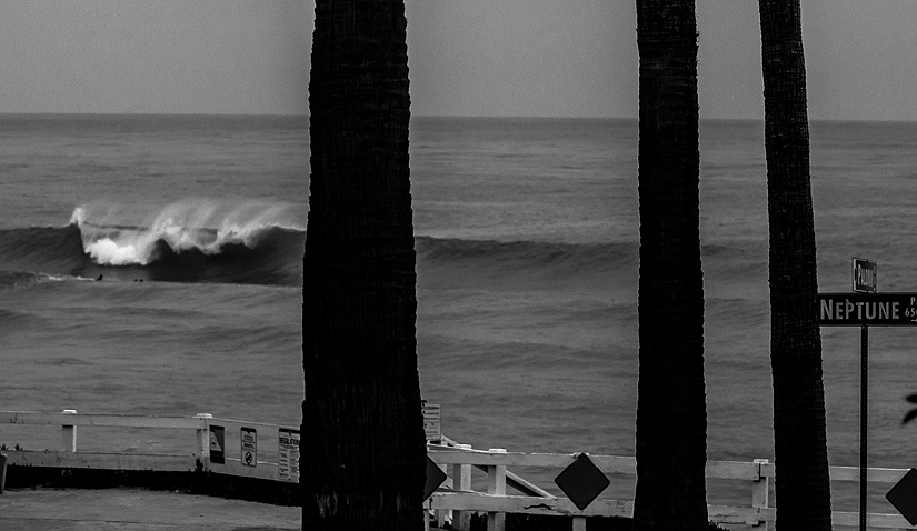 \"Neptune\" wakes up from a winter\'s rest. Photo: <a href=\"https://www.surfingeye.com/\" target=_blank>Ronald Hons</a>.