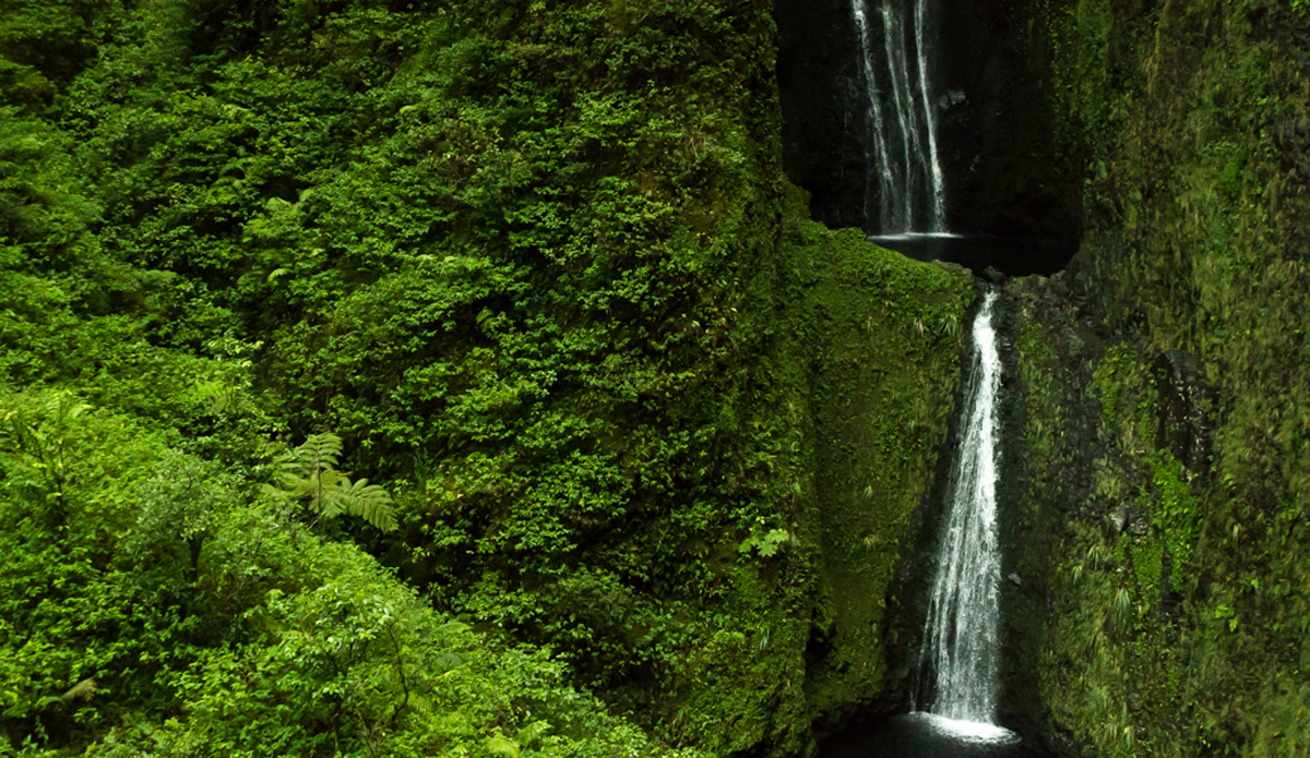 At the bottom of Honokohau Falls, these waterfalls merge into the Honokohau Stream. Here there were 1,600 taro patches stretched from the mountains to the ocean owned by Hawaiian families. Up until the last 10 years, there were no more taro patches in west Maui.<a href=\"https://www.rookemedia.com\">Tyler Rooke</a>