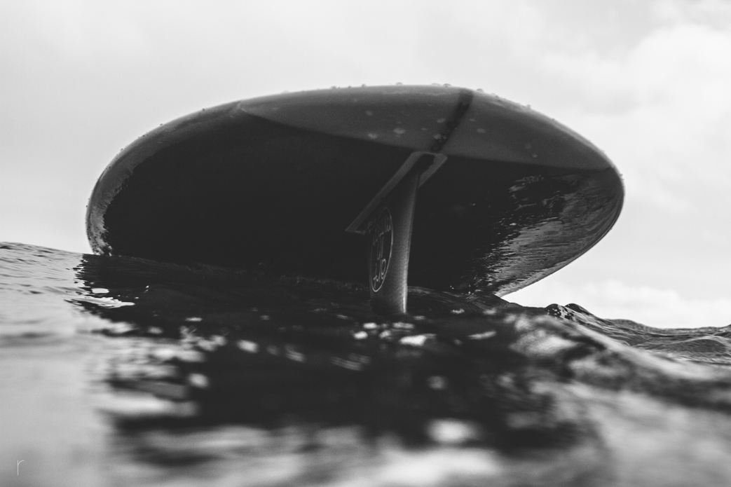 Art in Motion Designs. Photo: <a href=\"www.russellholliday.com\">Russell Holliday</a>