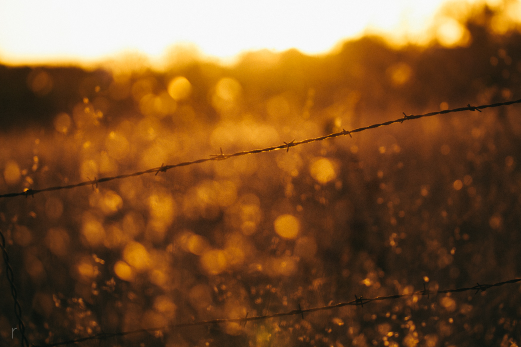 Keep out. Photo: <a href=\"www.russellholliday.com\">Russell Holliday</a>