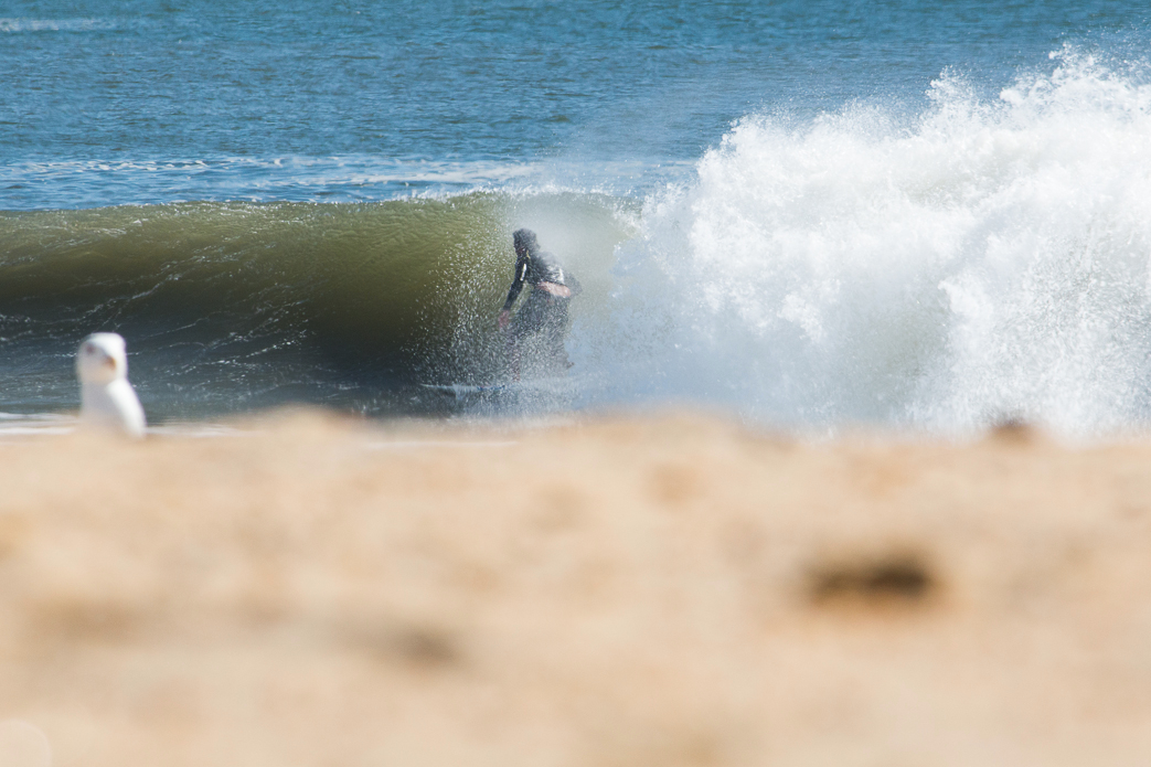 Photos: <a href=\"https://instagram.com/halbe_\">Ryan Halbe</a>