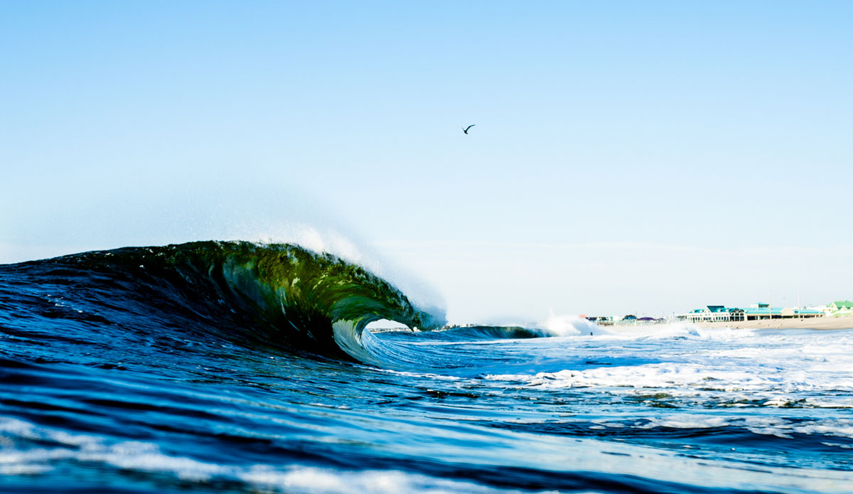 Photo: <a href=\"https://www.ryanmackphotography.com/\"> Ryan Mack</a>