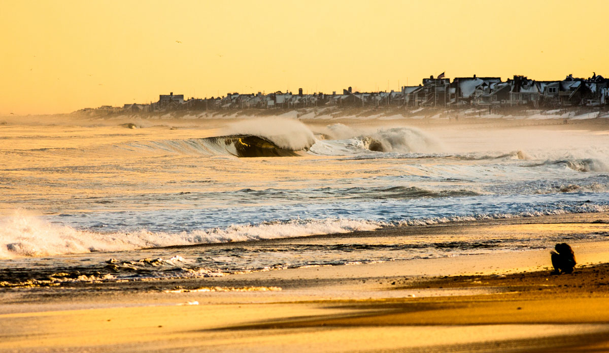 Photo: <a href=\"https://www.ryanmackphotography.com/\"> Ryan Mack</a>