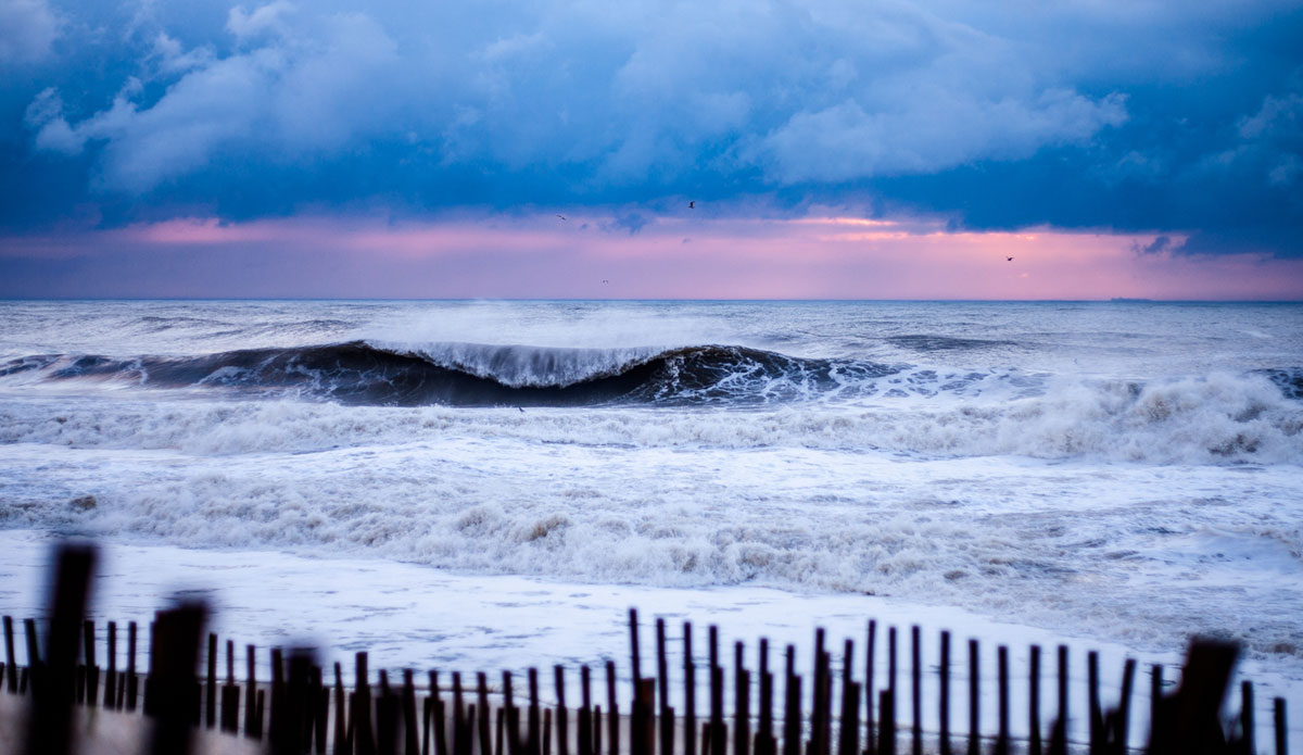 Photo: <a href=\"https://www.ryanmackphotography.com/\"> Ryan Mack</a>