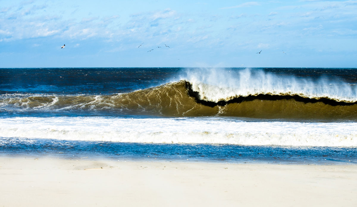 Photo: <a href=\"https://www.ryanmackphotography.com/\"> Ryan Mack</a>