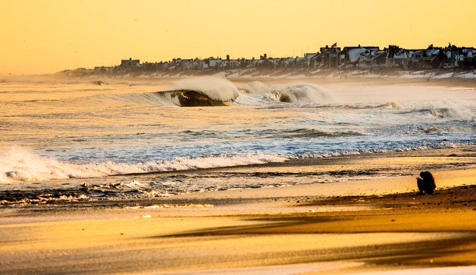 Snapshots are my best shots. Exhibit A. Photo: <a href=\"https://instagram.com/ryanmackphoto\">Ryan Mack</a>