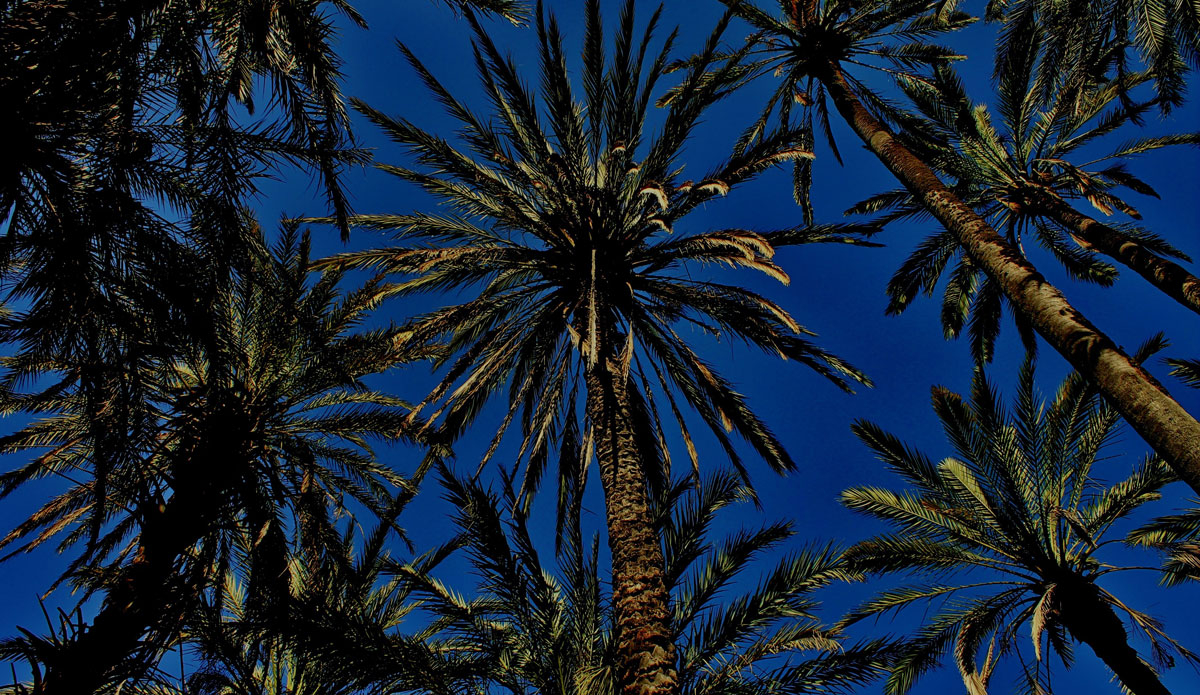 The natural beauty of an oasis in the middle of the Sahara desert. The natural swimming pools helped to cool off after the long walk. Photo: <a href=\"https://www.ryanwattersphoto.com/\">Ryan Watters</a>