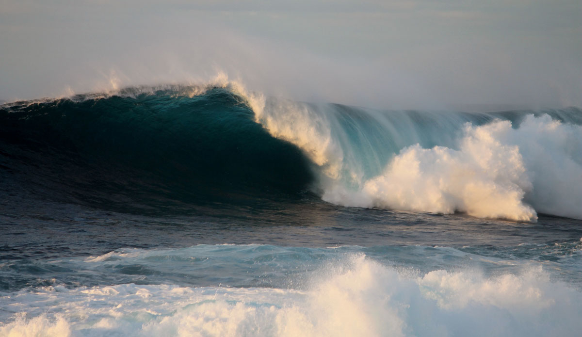 I’ve been drawing this same exact picture on my school notebooks for over 10 years. There aren’t any landmarks to gauge the size, but this one was easily over 20 feet. Photo: <a href=\"https://www.ryanwattersphoto.com/\">Ryan Watters</a>