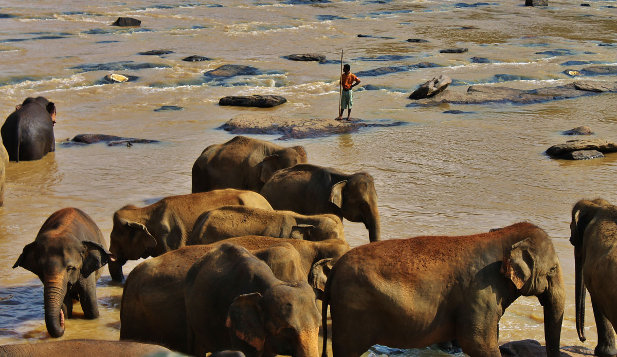 Sri Lanka is one of the most picturesque places I’ve been. The island is filled with hidden treasures if you’re willing to leave the coast. Elephant bathing time somewhere far from the beach. Photo: <a href=\"https://www.ryanwattersphoto.com/\">Ryan Watters</a>