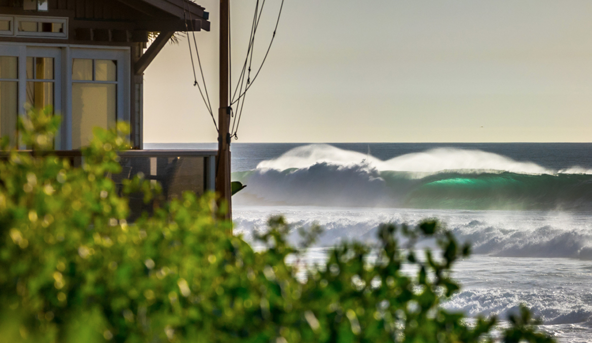 Photo: <a href=\"https://www.waterworkmedia.com/\">Sean Evans</a>