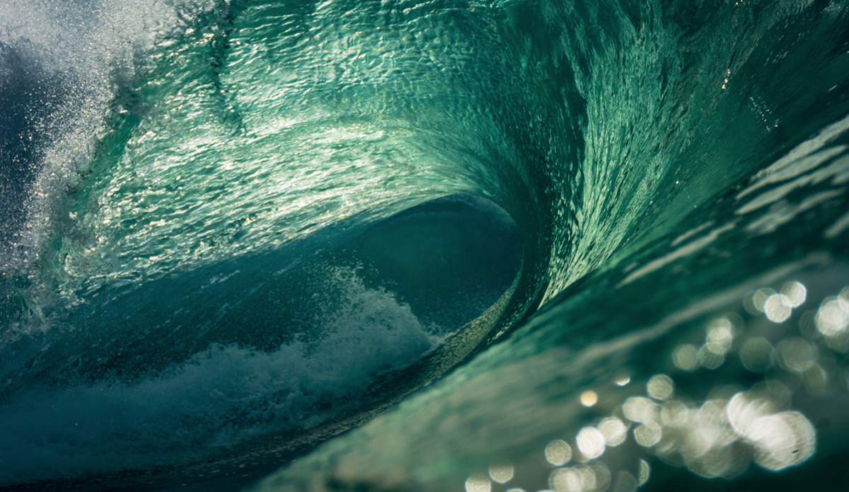 Photo: <a href=\"https://www.waterworkmedia.com/\">Sean Evans</a>