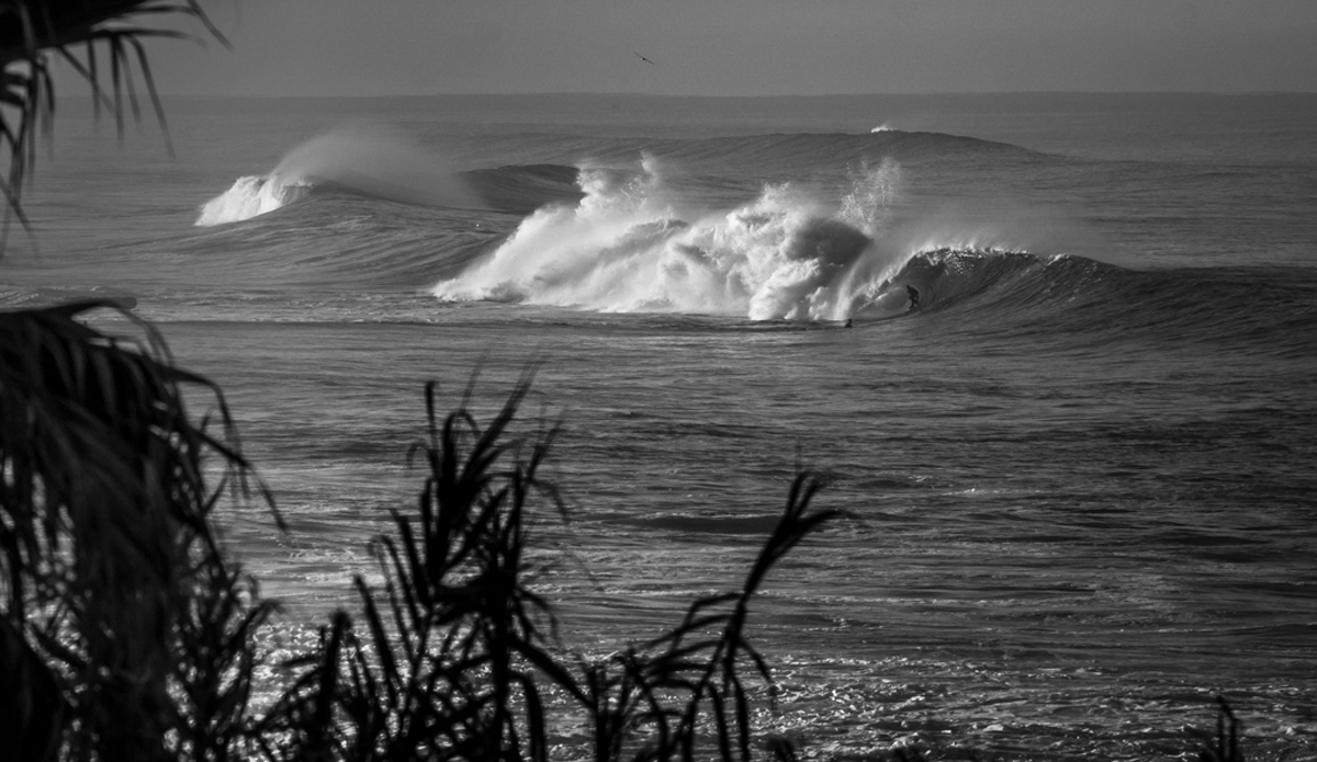 Photo: <a href=\"https://www.waterworkmedia.com/\">Sean Evans</a>