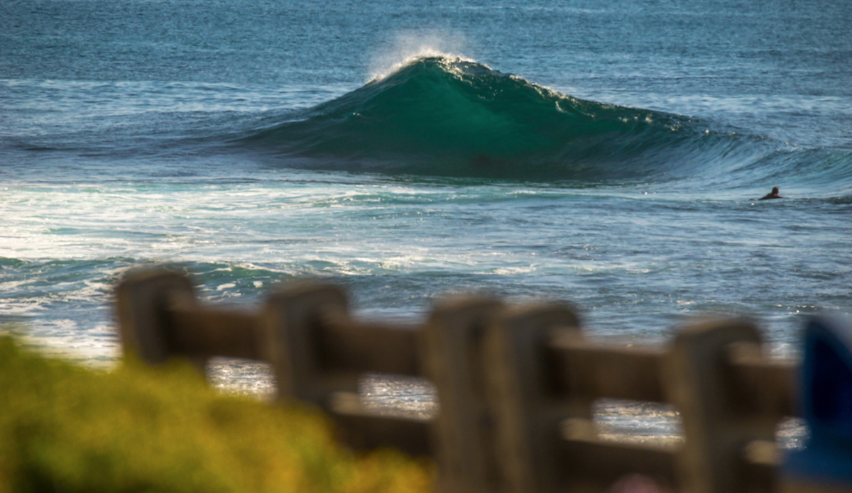 Photo: <a href=\"https://www.waterworkmedia.com/\">Sean Evans</a>